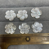 Natural Mother of pearl flower carving for earring for pendant new design shell white flowers mop