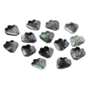 Natural Mother of pearl black petal cutting for earring design small petal making by pendant black shell cabochon carving flower