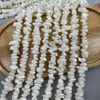 Natural Mother of pearl necklace shell conch small size round chain for bracelet for jewelry design making DIY brown color shell