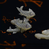 Natural Mother of pearl carving fish shape pendant jewelry embossment cutting cute things fish handmade design for DIY