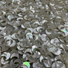 Natural Mother of pearl moon design cutting chain making small beans for jewelry making star shape small heart white shell 