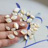 Natural Mother of pearl small beans cabochon face cutting marquize shape for women earrings design inlay making pretty things