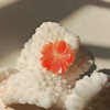 Natural Mother of pearl orange shell flower carving necklace design making jewelry inlay parts small flower for earring using 