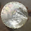 Natural Mother of pearl plate shape cutting for lady salad using bowl design fruits plate beauty making jewelry design colorful