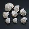 Natural Mother of pearl conch pendant small size original shell white shell women necklace design making cabochon cutting 