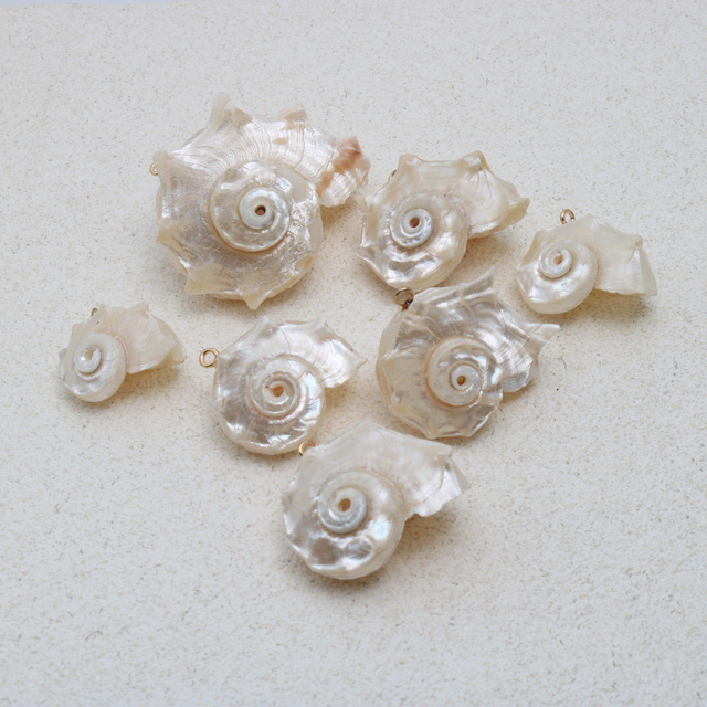 Natural Mother of pearl conch pendant small size original shell white shell women necklace design making cabochon cutting 