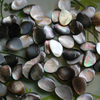 Natural Mother of pearl black shell cabochon cutting rings making jewelry for women design rings using earring oval cabochon