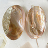 Natural Mother of pearl case for soap beauty making lady make up white shell ashtray jewelry design original shell 