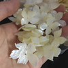 Natural Mother of pearl leaf design pendant white shell cutting for women earrings design big leaf rings jewelry maple leaf shape