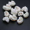 Natural Mother of pearl conch pendant small size original shell white shell women necklace design making cabochon cutting 