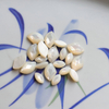 Natural Mother of pearl small beans cabochon face cutting marquize shape for women earrings design inlay making pretty things