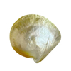 Natural Mother of pearl round shape cutting disco design for pendant yellow shell women pendant making design parts bigger size